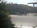 ./images/calvert/beach/20210728/beach20210728_110503.jpg