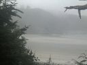 ./images/calvert/beach/20210729/beach20210729_102002.jpg