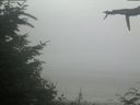 ./images/calvert/beach/20210729/beach20210729_102503.jpg