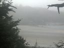 ./images/calvert/beach/20210729/beach20210729_103502.jpg