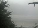 ./images/calvert/beach/20210729/beach20210729_104003.jpg