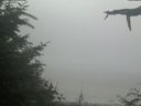./images/calvert/beach/20210729/beach20210729_104503.jpg
