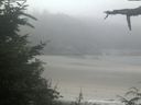 ./images/calvert/beach/20210729/beach20210729_105002.jpg