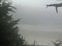./images/calvert/beach/20210729/beach20210729_105502.jpg