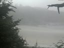 ./images/calvert/beach/20210729/beach20210729_110502.jpg