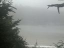 ./images/calvert/beach/20210729/beach20210729_112002.jpg