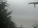 ./images/calvert/beach/20210729/beach20210729_112503.jpg