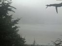 ./images/calvert/beach/20210729/beach20210729_113502.jpg