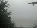 ./images/calvert/beach/20210729/beach20210729_114002.jpg