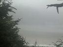 ./images/calvert/beach/20210729/beach20210729_114503.jpg