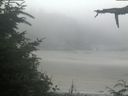 ./images/calvert/beach/20210729/beach20210729_115003.jpg