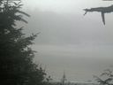 ./images/calvert/beach/20210729/beach20210729_115503.jpg