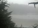 ./images/calvert/beach/20210729/beach20210729_120003.jpg