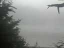 ./images/calvert/beach/20210729/beach20210729_120503.jpg