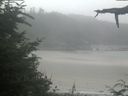 ./images/calvert/beach/20210729/beach20210729_121002.jpg
