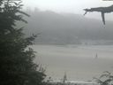 ./images/calvert/beach/20210729/beach20210729_121503.jpg
