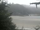 ./images/calvert/beach/20210729/beach20210729_124002.jpg