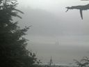 ./images/calvert/beach/20210729/beach20210729_124501.jpg