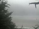 ./images/calvert/beach/20210729/beach20210729_125002.jpg