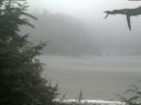 ./images/calvert/beach/20210729/beach20210729_125501.jpg