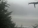 ./images/calvert/beach/20210729/beach20210729_130501.jpg