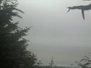 ./images/calvert/beach/20210729/beach20210729_131001.jpg