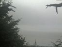 ./images/calvert/beach/20210729/beach20210729_131501.jpg