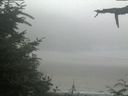 ./images/calvert/beach/20210729/beach20210729_132002.jpg