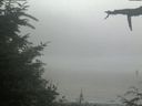 ./images/calvert/beach/20210729/beach20210729_132502.jpg