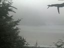./images/calvert/beach/20210729/beach20210729_133502.jpg