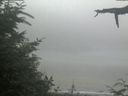 ./images/calvert/beach/20210729/beach20210729_134003.jpg