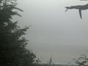 ./images/calvert/beach/20210729/beach20210729_134503.jpg
