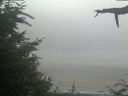 ./images/calvert/beach/20210729/beach20210729_135003.jpg