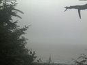 ./images/calvert/beach/20210729/beach20210729_135503.jpg