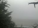 ./images/calvert/beach/20210729/beach20210729_140003.jpg