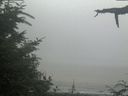 ./images/calvert/beach/20210729/beach20210729_141003.jpg
