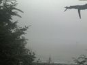./images/calvert/beach/20210729/beach20210729_141503.jpg