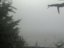 ./images/calvert/beach/20210729/beach20210729_142502.jpg
