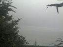 ./images/calvert/beach/20210729/beach20210729_144001.jpg