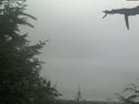 ./images/calvert/beach/20210729/beach20210729_144501.jpg