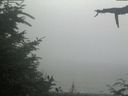./images/calvert/beach/20210729/beach20210729_145502.jpg