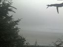 ./images/calvert/beach/20210729/beach20210729_151002.jpg