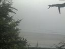 ./images/calvert/beach/20210729/beach20210729_151502.jpg
