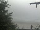 ./images/calvert/beach/20210729/beach20210729_152503.jpg