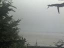 ./images/calvert/beach/20210729/beach20210729_153503.jpg