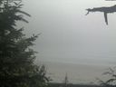./images/calvert/beach/20210729/beach20210729_154002.jpg