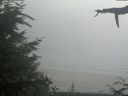 ./images/calvert/beach/20210729/beach20210729_154503.jpg