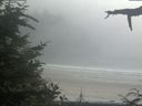 ./images/calvert/beach/20210729/beach20210729_155002.jpg
