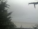 ./images/calvert/beach/20210729/beach20210729_155502.jpg