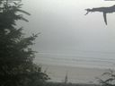 ./images/calvert/beach/20210729/beach20210729_160003.jpg